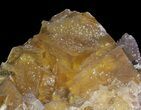 Yellow, Cubic Fluorite Cluster - Cave-in-Rock, Illinois #38993-3
